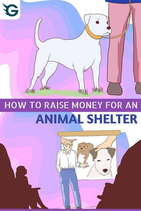 Ways To Raise Money, Animal Shelter Donations, Animal Shelter Fundraiser, Animal Rescue Fundraising, Animal Shelter Design, Animal Rescue Ideas, House Abandoned, Shelter Ideas, Animal Rescue Center