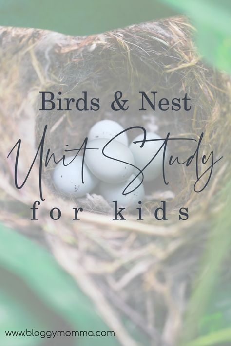 Birds And Their Nests, Bird Nesting Material, Birds Nests, What To Study, Weaving For Kids, Bird Nests, 1st Grade Writing, Nature Science, Bird Free