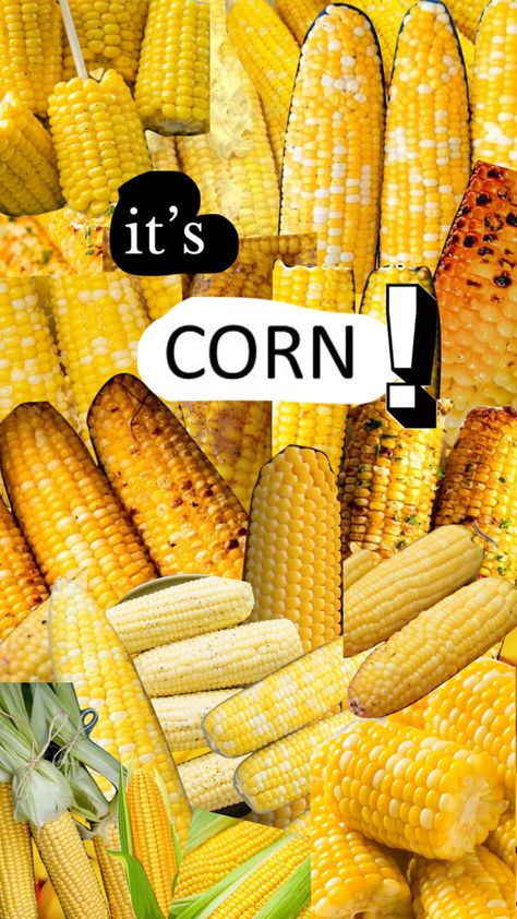 my favourite so far #itscorn #corn #cornsong It’s Corn, It’s Corn Tik Tok, Its Corn Song Video, Five Kernels Of Corn Legend, Corn Wallpapers, Corn Song, Its Corn Shirt, Its Corn, Corn Starch