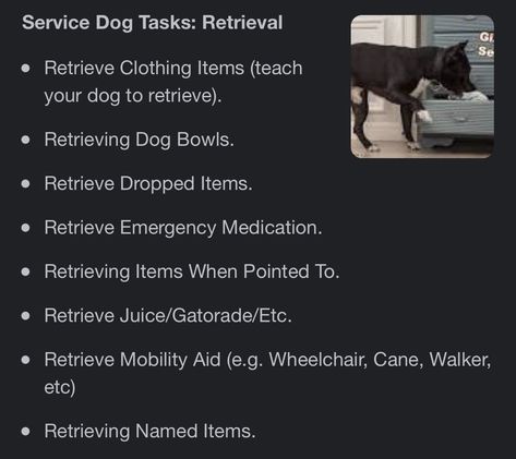 Service Dog Puppy Training, Small Service Dog, Service Dog Training Checklist, Service Dog Tasks List, Service Dog Gear For School, Service Dog Training How To, How To Train Your Dog To Be A Service Dog, Assistance Dog Gear, Service Dog Tasks