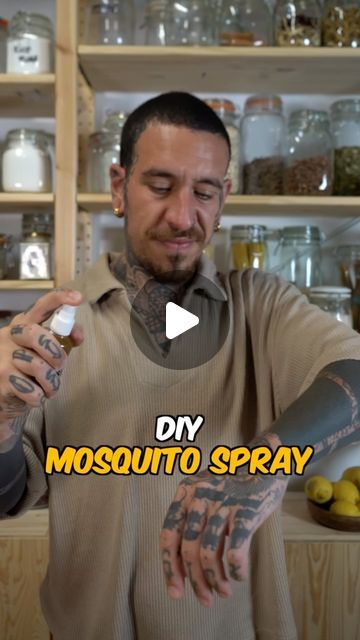 Alessandro Vitale on Instagram: "This DIY mosquito repellent spray will be your best friend over the next months. Santolina, also known as cotton lavender is a common plant that you can grow in your garden 🪴 

Nature provides all we need if you learn how to nurture the gifts from the land.

Ingredients:

- 75 grams of fresh Santolina chamaecyparissus leaves (or 37.5 grams dried)
- 150 ml of witch hazel
- 150 ml of distilled water
- Essential oils (optional, such as eucalyptus, citronella, or tea tree oil)
- A spray bottle

Prepare Leaves:

Finely chop 75 grams of fresh leaves or crush 37.5 grams of dried leaves.
Infuse Witch Hazel:

Place leaves in a jar and cover with 150 ml of witch hazel. Seal and let sit for 2-3 weeks, shaking every few days.
Strain Mixture:

Strain the liquid through Homemade Citronella Oil, How To Make Citronella Oil From Plant, Vanilla Insect Repellent, Santolina Chamaecyparissus, Mosquito Repellent Spray, Citronella Essential Oil Bug Spray, Cotton Lavender, Essential Oil Bug Spray, Diy Mosquito Repellent