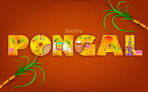 Pongal Wish, Happy Sankranti Images, Pongal Greeting Cards, Pongal Greetings, Sankranthi Wishes, Happy Makar Sankranti Images, Pongal Images, Tamil Greetings, Happy Pongal Wishes