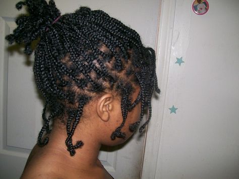 Protective style no extension box braids ...love the look. Women Hairstyles Braids, Mini Twists Natural Hair, Styling My Hair, Mini Braids, Braids Natural Hair, Rope Braided Hairstyle, Natural Braids, Box Braids Hairstyles For Black Women, Natural Hair Twists