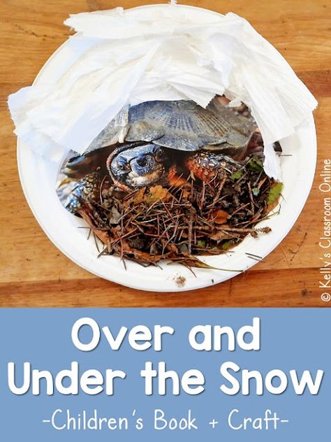 Learn about animal hibernation with this integrated science, reading, and art activity inspired by the book Over and Under the Snow by Kate Messner. Over And Under The Snow, Hibernation Preschool Crafts, Hibernation Preschool Activities, Hibernation Preschool, Kate Messner, Hibernation Activities, Third Grade Books, Second Grade Books, First Grade Books