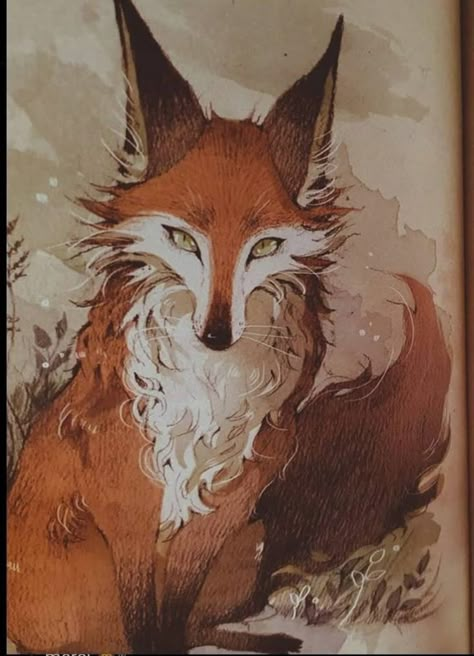 Fox Artwork, Fox Drawing, Fantasy Creatures Art, Arte Sketchbook, Fox Art, Arte Animal, Cute Animal Drawings, Red Fox, Creature Art