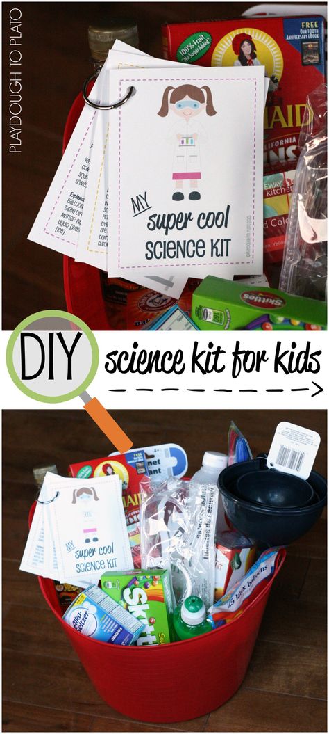 Awesome DIY Science Kit for Kids Science Gifts For Kids, Home Science, Science Kits For Kids, Science Party, Diy Science, Science Gifts, Cool Gifts For Kids, Preschool Science, E Mc2