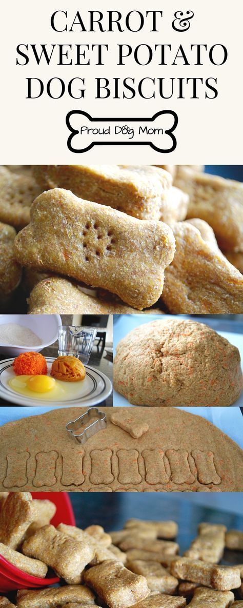 Diy Dog Treats Healthy, Sweet Potato Dog, Potato Dog, Easy Dog Treat Recipes, Dog Biscuit Recipes, Easy Dog Treats, Healthy Dog Treats Homemade, Dog Treats Homemade Recipes, Sweet Potatoes For Dogs