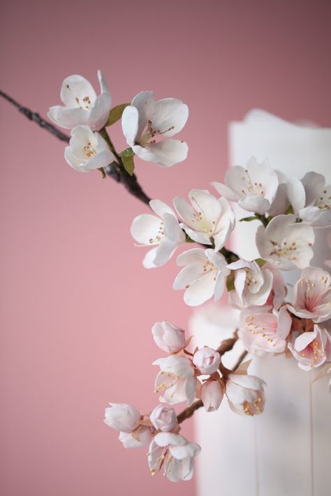 Pink Cherry Blossom Wedding Cake Japanese Style Wedding, Pink Cherry Blossom Wedding, Blossom Wedding Cake, Contemporary Wedding Cake, Cherry Blossom Wedding Cake, Luxury Wedding Cake Design, Contemporary Wedding Cakes, Cherry Blossom Cake, Blossom Cake