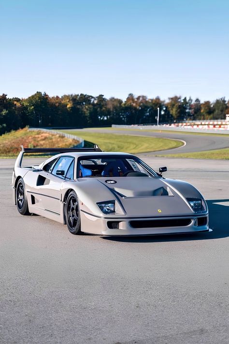 F40 Competizione, Ferrari Cars, Enzo Ferrari, Ferrari F40, Coconut Rice, Engine 2, Racing Team, Twin Turbo, Sports Cars Luxury