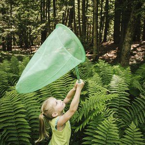 Butterfly Catcher, Itchy Bug Bites, Study Outfit, Fern Forest, Independent Study, Bug Bites, Girl Portrait, Fairy Girl, Nature Forest