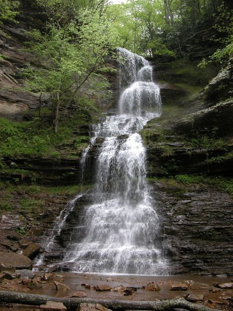 Cathedral Falls - One of the highest and most scenic waterfalls in West Virginia. It is very easy to visit, being located right alongside US 60. Definitely worth a visit New River Gorge Bridge, West Virginia Travel, West Va, How To Camp, Quotes Nature, Charleston Wv, New River Gorge, Virginia Travel, Peaceful Living