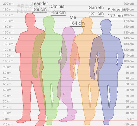 Height Comparison Chart, Always Hp, Height Comparison, Hogwarts Games, Human Height, Comparison Chart, Hogwarts Legacy, Hogwarts Aesthetic, Height Chart