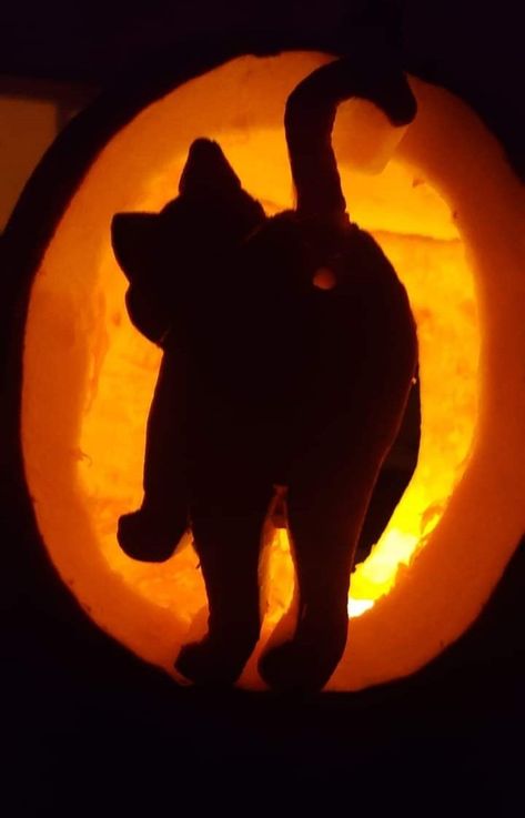 Pumpkin Fox Ideas, Pete The Cat Pumpkin Carving, Pumpkin Inside A Pumpkin Carving, Pumpkin Carving Ideas Kawaii, Cat Butthole Pumpkin Carving, Pumpkin Carving Animal Crossing, Bat Jack O Lantern, Pumpkin Carving Ideas Harry Styles, Rat Pumpkin Carving