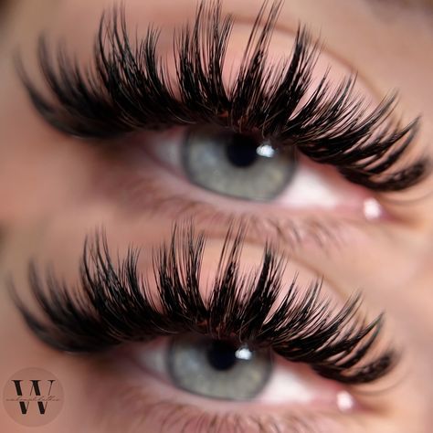 Wispy Wet Set, Eyelash Extensions Volume, Wispy Volume, Wet Set, Eyelash Extensions, Eyelashes, Lashes, Quick Saves