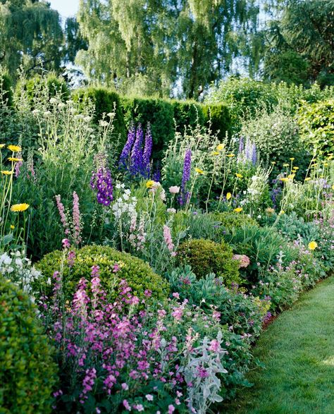 summer-cottage-garden-b0bb31da Cottage Garden Plan, Cottage Garden Design, Garden Wallpaper, Formal Garden, Garden Shrubs, English Cottage Garden, English Country Gardens, Backyard Paradise, Cottage Gardens