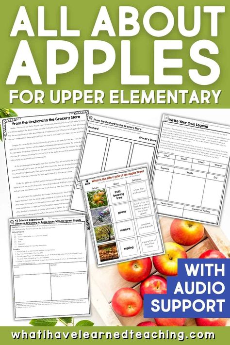 Apple Orchard Lesson Plan, Apple Unit Second Grade, Apple Day Second Grade, Apple Unit 2nd Grade, Apple Activities For 3rd Grade, Apple Day 2nd Grade, Apple Unit Study 3rd Grade, Lesson Plans For 2nd Grade, Apple Theme Classroom