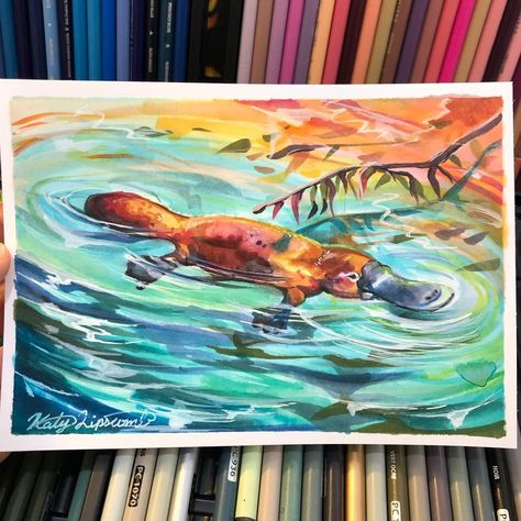 Platypus Watercolor, Platypus Painting, Platypus Drawing, Platypus Art, Katy Lipscomb, Animal Journal, Aussie Animals, Cool Art Work, Book Reference