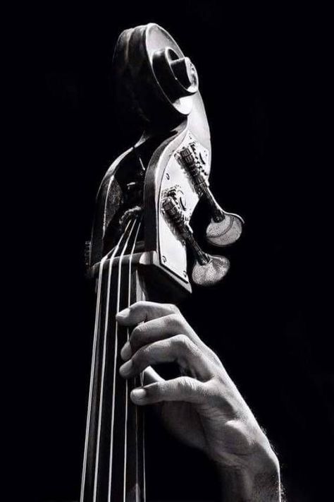 Arte Jazz, Musician Photography, Hand Photography, Jazz Art, Double Bass, Musical Band, Musical Art, Music Images, Jazz Musicians