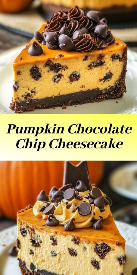 Chocolate Chip Pumpkin Cheesecake Delight - Yield: 12 servings - Prep Time: 30 minutes - Cook Time: 65 minutes - Total Time: 5 hours (including chilling) Pumpkin Chocolate Cheesecake, Pumpkin Cheesecake Cupcakes, Cheesecake Delight, Pumpkin And Chocolate, Autumn Spices, Fluffy Cheesecake, Pumpkin Chip, Chocolate Chip Pie, Pumpkin Cheesecake Recipes