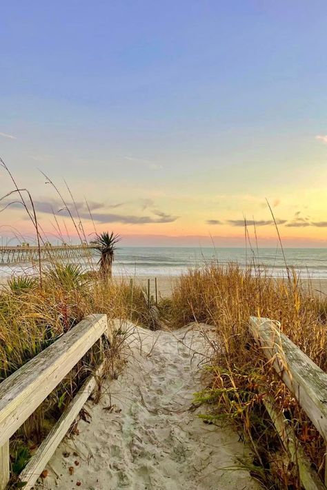 Summer Getaways Guide | Emerald Isle and the Crystal Coast | Emerald Isle Realty Friend Vacation, Beach House Rental, Beach Wedding Photos, Atlantic Beach, Vacation Deals, Beach Activities, Summer Getaway, Fishing Charters, Beach Rentals