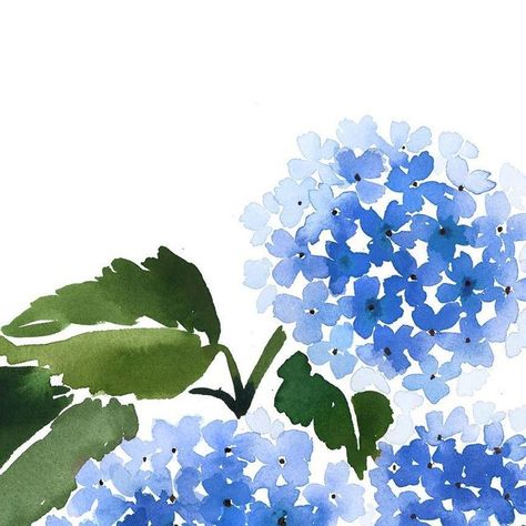 Painting Hydrangeas, Painted Hydrangea, July 5th, Pottery Inspiration, Lots Of People, Watercolor Ideas, Favorite Flower, Easy Watercolor, Kawaii Clothes