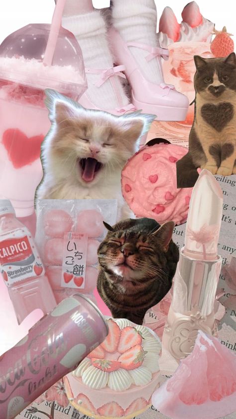 #cat #kitten #pink #cute #lipgloss #cake #heart #drink #pastel #flower Pink Kitten Wallpaper, Pink Plain Wallpaper, Cute Lipgloss, Pink Geometric Wallpaper, Barbie Cat, Pastel Pink Wallpaper, Pink Wallpaper Ipad, Cake Heart, Cat Collage