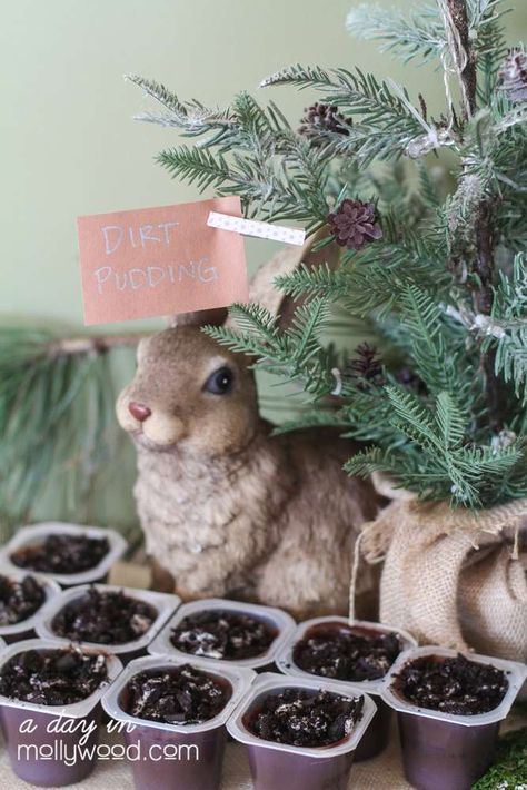 Dirt pudding at a woodland birthday party! See more party planning ideas at CatchMyParty.com! Winter Bunny Birthday Party, Woodland Bunny Party, Winter Forest Birthday Party Boy, Bambi Woodland Birthday Party, Winter Woodland Party, Winter Woodland Birthday Party, Woodland Birthday Theme, Choc Pudding, Winter Woodland Birthday