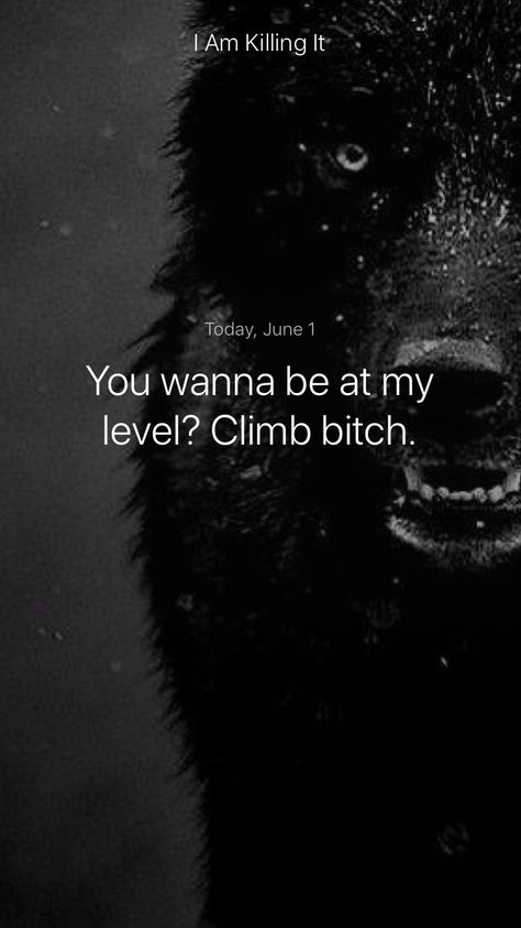 You wanna be at my level? Climb bitch. #iamsober I Wanna Be Free Quotes, Sassy Bio, Bio Lines, Black Love Quotes, Quotes Ideas, Small Quotes, Thought Quotes, Do It Anyway, Warrior Quotes