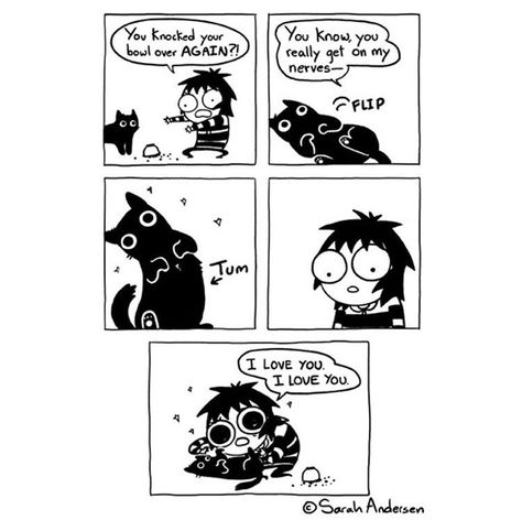 Sarah Andersen Sarah Anderson Comics, Sarah's Scribbles, Sarah Andersen, Sarah Anderson, Koci Humor, Online Comics, Cat Comics, Cute Comics, Cats And Dogs