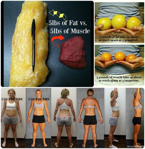 Weight Loss vs. Fat Loss - Bushel & A Peck Fat Vs Muscle, Truvision Health, Burn Fat Quick, Bed Workout, Heath And Fitness, Pound Of Fat, High Intensity Workout, Health Motivation, People Talk