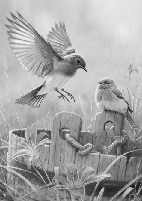 Pencil Sketches Landscape, Landscape Pencil Drawings, Pencil Drawings Of Animals, Bird Sketch, Grayscale Coloring Books, Pencil Shading, White Drawing, Desenho Tattoo, Dark Art Drawings