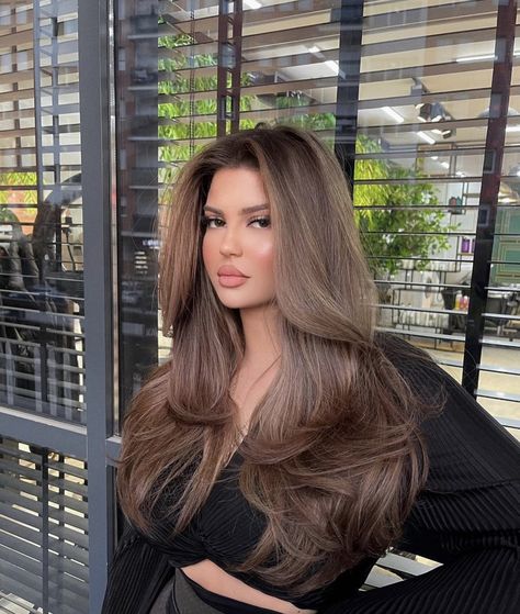 Balayage Haircut Long Layered, 26th Birthday Outfits For Women Classy, Brunnete Long Layers, Straight Vs Layered Hair, Long Layer Brunette Hair, Thick Blowout Hair, French Baylage, Long Brown Hair With Highlights And Layers, Long Round Layers With Curtain Bangs