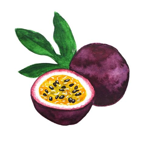 Passion Fruit Illustration, Buah Markisa, Fruit Art Drawings, Watercolor Food Illustration, Veggie Art, Watercolor Pencil Art, Art Journal Prompts, Fruits Drawing, Watercolor Fruit