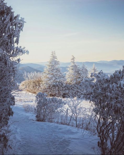 Magical moments in our winter wonderland ❄️ 📸 : @photofern.wnc 📍 : North Carolina North Carolina Aesthetic, North Carolina Winter, Carolina Aesthetic, Life Abroad, Magical Moments, Prayer Board, Outdoor Photos, Winter Pictures, Ski Trip