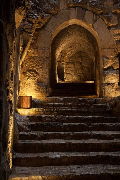 Ajloun castle is an impressive 12th century fortress. It looks very authentic and they let you wander around anywhere. Fantasy Fortress Interior, Fortress Interior, Ajloun Castle, Medieval Japanese, Stone Castle, Castle Interior, Dark Castle, Cat Fountain, Castles Interior