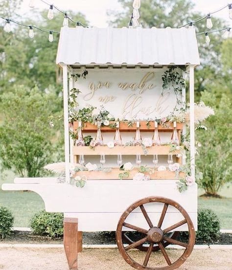 This rosé wedding bar may be the prettiest bar cart we've ever seen! Wedding Bar Cart, Wedding Drink Bar, Woodland Wonderland, Sweet Carts, Wedding Color Ideas, Ice Cream Cart, Drink Bar, Flower Truck, Champagne Bar