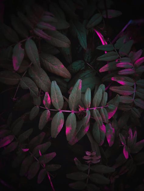 Pink Green Black Aesthetic, Dark Green And Pink Wallpaper, Pink And Dark Green Aesthetic, Dark Pink And Green Aesthetic, Green And Hot Pink Aesthetic, Green And Magenta Aesthetic, Meg Aesthetic, Cool Wallpapers Pink, Botanical Goth