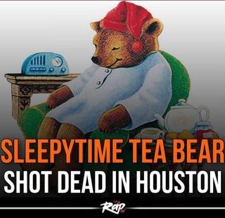 Sleepy Time Tea Bear, Sleepytime Tea Bear, Sleepy Time Tea, Sleepytime Tea, Sleepy Time, Goofy Pictures, Silly Images, Book Inspiration, Lose My Mind