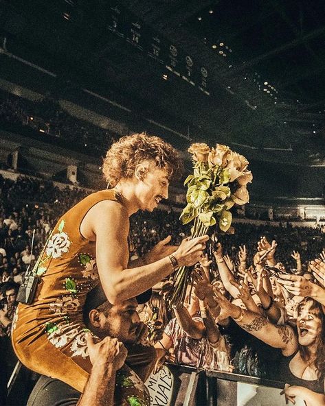 Greta Van Fleet Poland 🇵🇱 on Instagram: “📷 @mikey.photograph dla @qromag ——————- #gretavanfleet #gretavanfleetpoland #gvfpoland #dannywagner #jakekiszka #joshkiszka #samkiszka…” Josh Kiszka, Greta Van Fleet, Phil Collins, Music Icon, Picture Collage, Music Photography, Beauty Life, Cool Bands, Concert Outfit