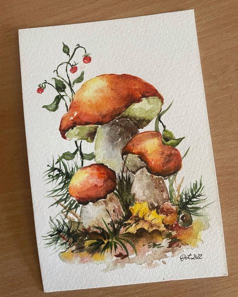 Colored Mushrooms Drawing, Watercolor Art Mushrooms, Ink And Watercolor Illustration, Watercolor Illustration Ideas, Mushroom Watercolor Paintings, Mushroom Painting Ideas, Watercolour Mushroom, Mushrooms Watercolor, Fall Mushrooms