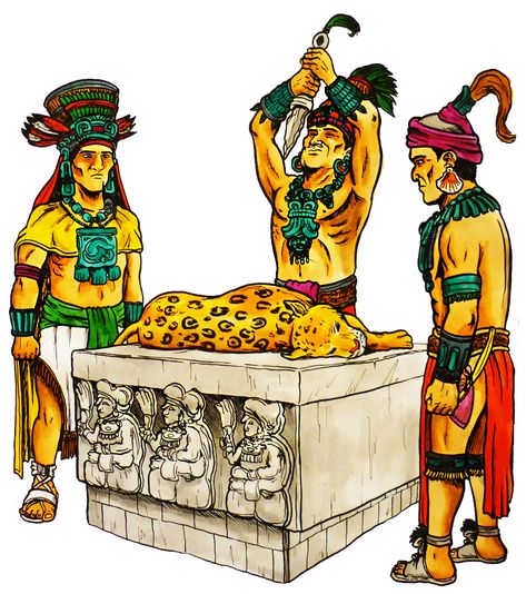 Imágenes Rito religioso maya Aztec Drawing, Maya Civilization, Aztec Warrior, Yucatan Mexico, Tikal, Witch Books, Male Poses, Ancient Civilizations, Ancient Times