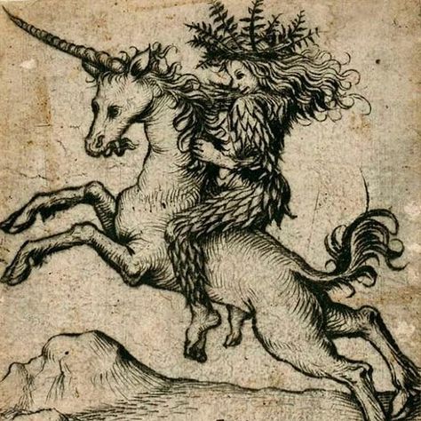 TOM CHERRY (@xphaiea) •Wild Man on a Unicorn • by the Master of the Amsterdam Cabinet, 1470s Riding A Unicorn, Medieval Drawings, Wild Man, Rennaissance Art, Ancient Forest, Unicorn Art, 수채화 그림, Wild Woman, Medieval Art