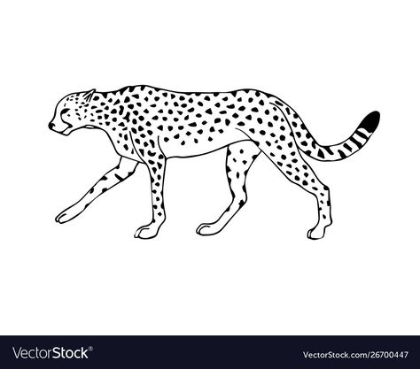 Cheetah Line Art, Jungle Animals Tattoo, Zoo Mš, Cheetah Outline, Cheetah Vector, Cheetah Drawing, Avrey Ovard, Jungle Prints, Animal Line Drawings