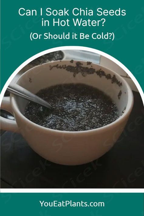 Achieving the optimal texture for your chia seeds can be a challenge, but learning how to soak chia seeds properly can give you the desired texture and flavor you're looking for. So the question is, should you soak the chia seeds in hot water or cold water? To find out the answer to this question and learn more about the nutritional benefits of consuming chia seeds, visit post.
 ... more Chia Seeds In Water, I Lost 100 Pounds, Soak Chia Seeds, Healthy Foods To Make, Healthy Food Habits, Chia Seed Recipes, Healthy Food Menu, Healthy Food Guide, Lost 100 Pounds