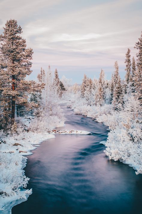 Winter Travel Photography, Sweden Snow Aesthetic, Nordic Winter Aesthetic, Sweden Snow, Winter In Sweden, Lapland Sweden, Sweden Winter, Sweden Nature, Swedish Lapland