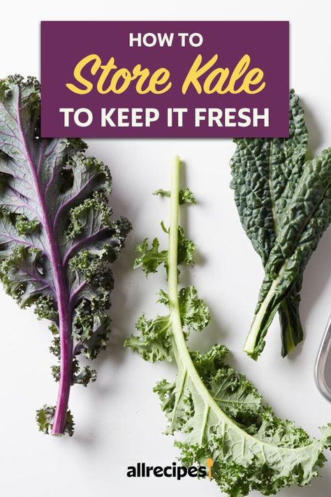 Ways To Use Kale, How To Store Kale In The Fridge, How To Use Kale, Kale Storage, What To Do With Kale, How To Harvest Kale, Lettuce Types, How To Store Kale, How To Freeze Kale