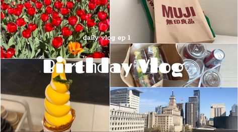 #youtubethumbnail #birthdayparty #birthdayvlog #dailydairy #toronto #canada #mujistationery #muji #miniso #haul Miniso Haul, Daily Dairy, Muji Stationery, Toronto Travel, Thumbnail Design, Youtube Thumbnail, Channel Art, The Trip, Toronto Canada