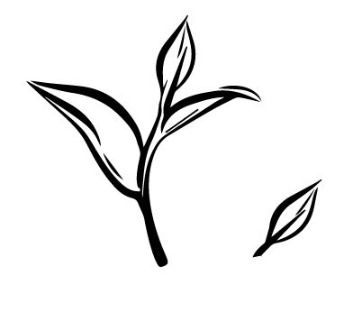 Hongbao Design, Tea Leaf Logo, Tea Tattoo, Good Trip, L Tattoo, Leaf Outline, Getting A Tattoo, Leaves Vector, Tea Leaf