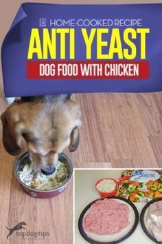 Yeast In Dogs, Clear Up Skin, Pet Recipes, Dog Food Recipe, Recipe With Chicken, Dog Treats Homemade Easy, Diy Dog Food, Make Dog Food, Dog Biscuit Recipes