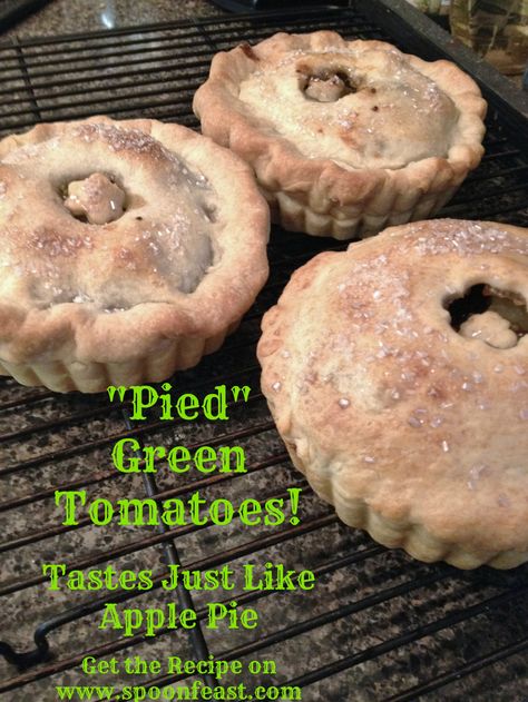 "Pied" Green Tomatoes! Green Tomato Apple Pie, Watermelon Rind Recipes, Green Tomato Pie, Chow Chow Relish, Freezing Recipes, Green Tomato Relish, Tomato Pie Recipe, Green Tomato Recipes, Seed Recipes